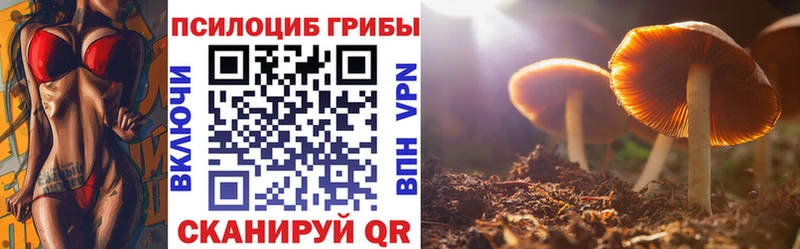 Галлюциногенные грибы Magic Shrooms  omg зеркало  Карачаевск 